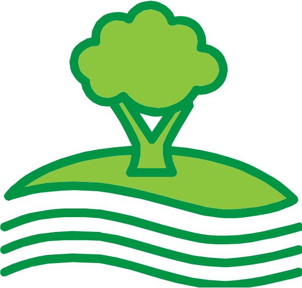 Green Carpet Cleaning in Northwest Indiana